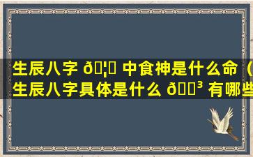 生辰八字 🦄 中食神是什么命（生辰八字具体是什么 🐳 有哪些内容）